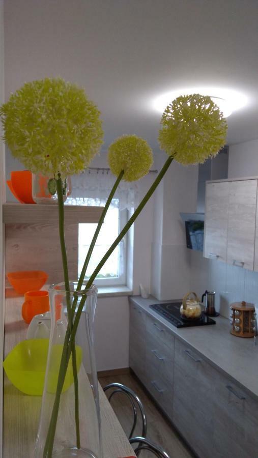 Stokrotka Farm stay Kroczyce